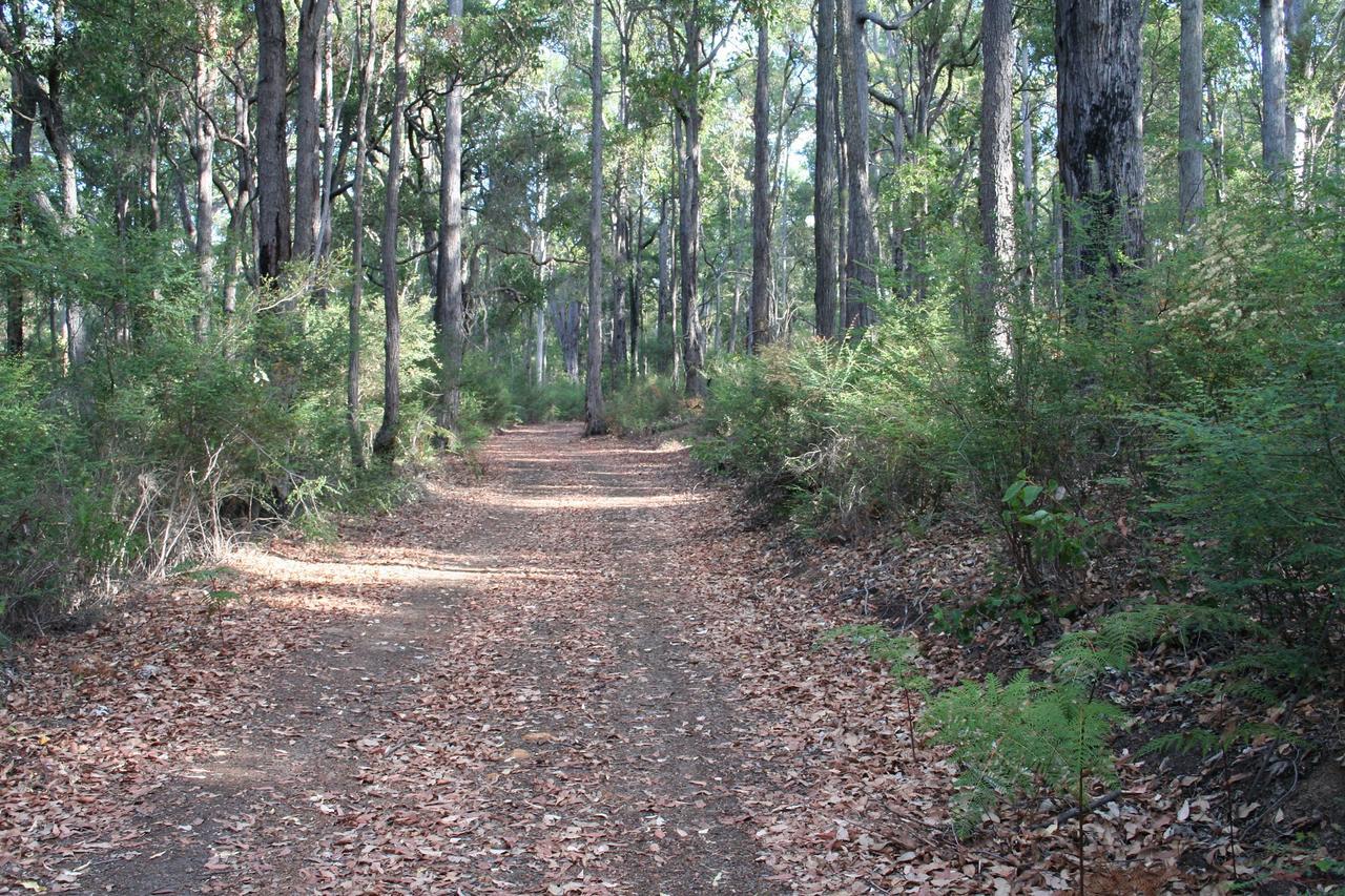 Wellington Forest Cottages 외부 사진
